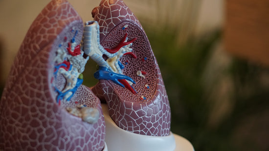 Lung scarring - what is it and what can you do about it?